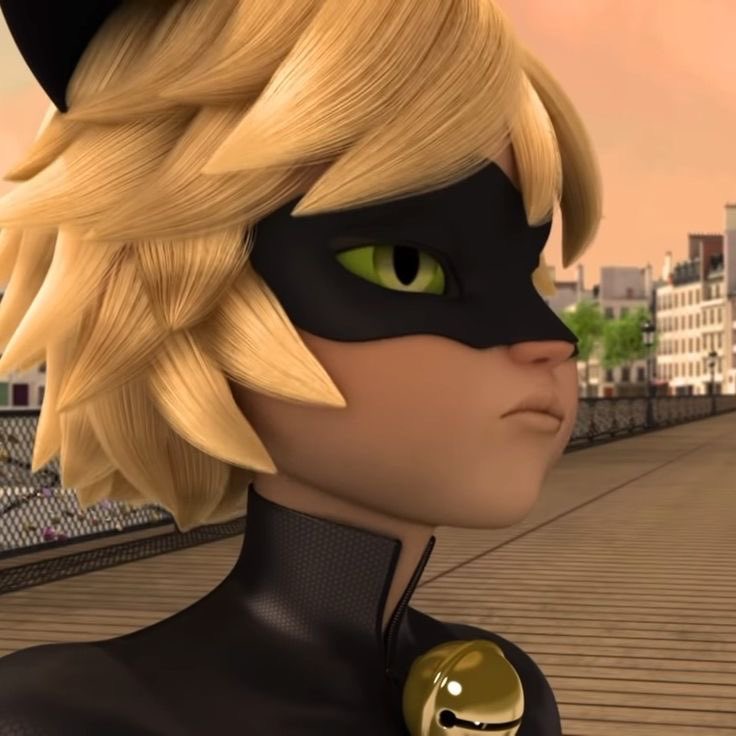 daily chat noir tweet media