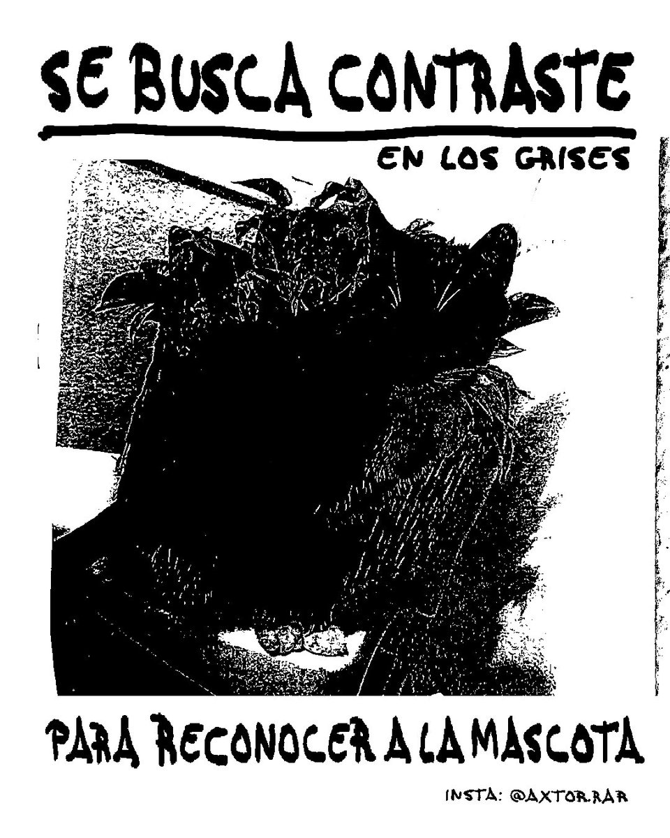 a𝕏tor ‎‎ ‎ ‎ ‎ ‎ ‎ ‎ ‎ ‎ ‎ ‎ ‎ ‎ ☻ tweet media