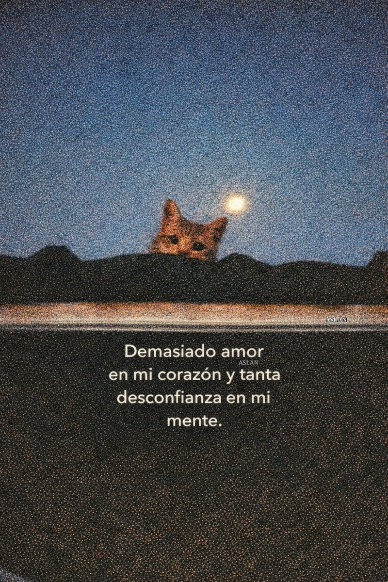 BANDIDOS (@bandidosfrasess) on Twitter photo 