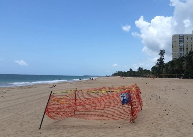 Ustedes saben que es lo más absurdo, lo más bruto, lo más bestial de la izquierda socialista y social-demócrata, como Zoé Laboy, en el tema de la vida y el aborto. Sencillo, que NO consideran a un feto o embrión humano una vida, pero a un huevo de tortuga, le hacen una cinta,