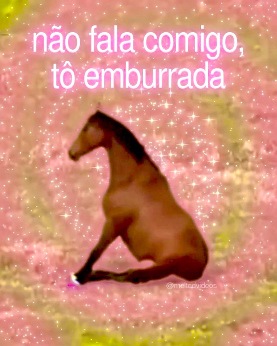 willwill 🚨🚨🚨 tweet media