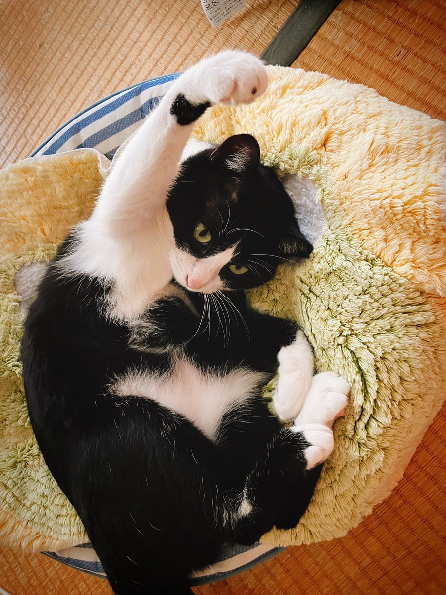 ようやく週末だけど総武線は息をするようにまた遅延してる。今日が週末じゃ無ければ泣いてたとこだよ。混雑の中、揉みくちゃにされながらおはようございます。