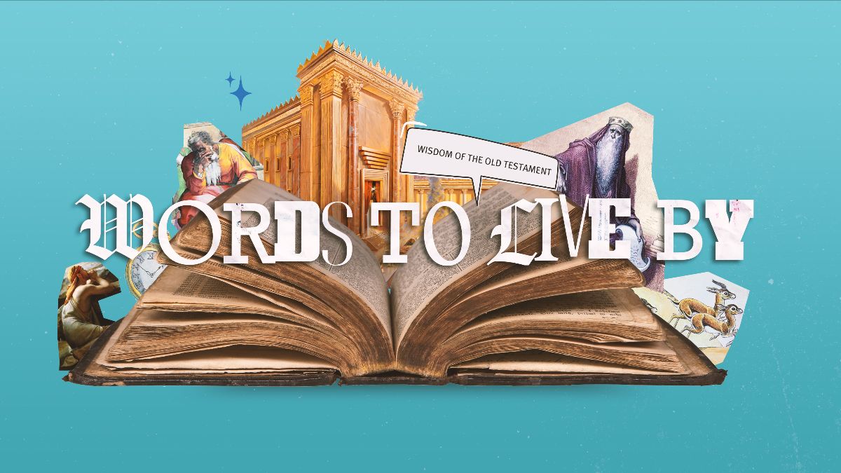 Franklin First UMC tweet media