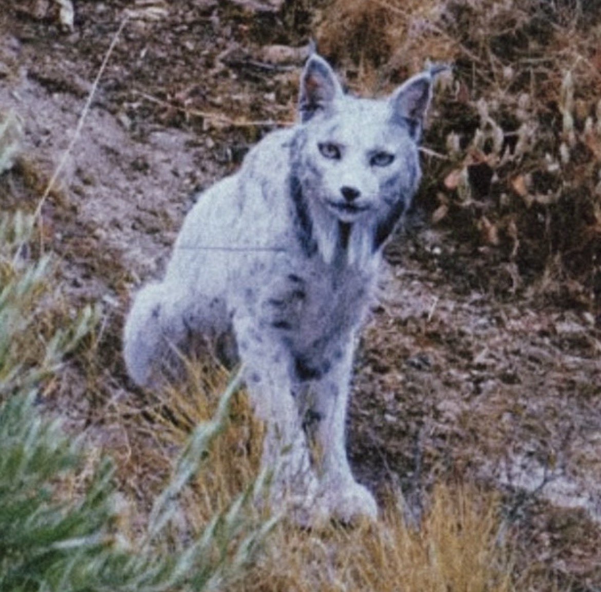 Víctor #🌞 tweet media