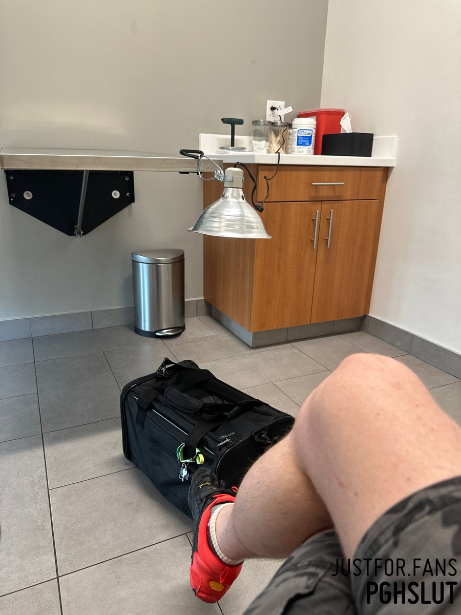 Pup Paimon tweet media