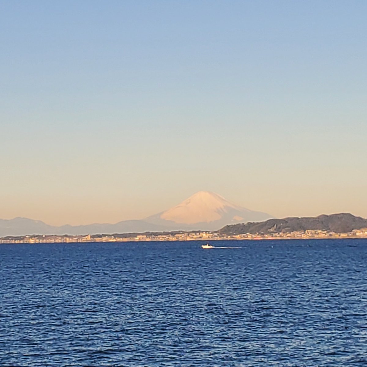 東京湾フェリー【公式】 (@tokyowanferry) / Posts / X