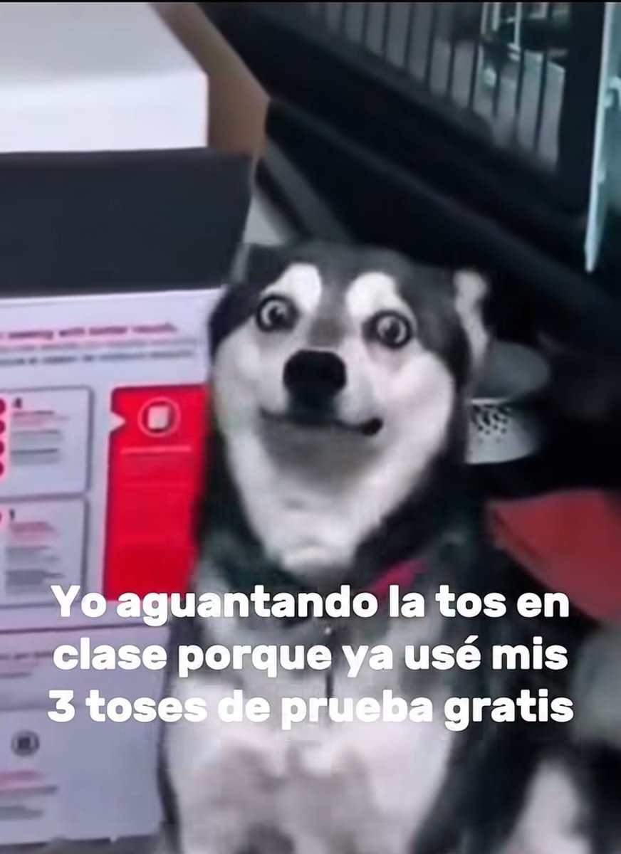 Frases Barbie (@barbie_context) on Twitter photo 