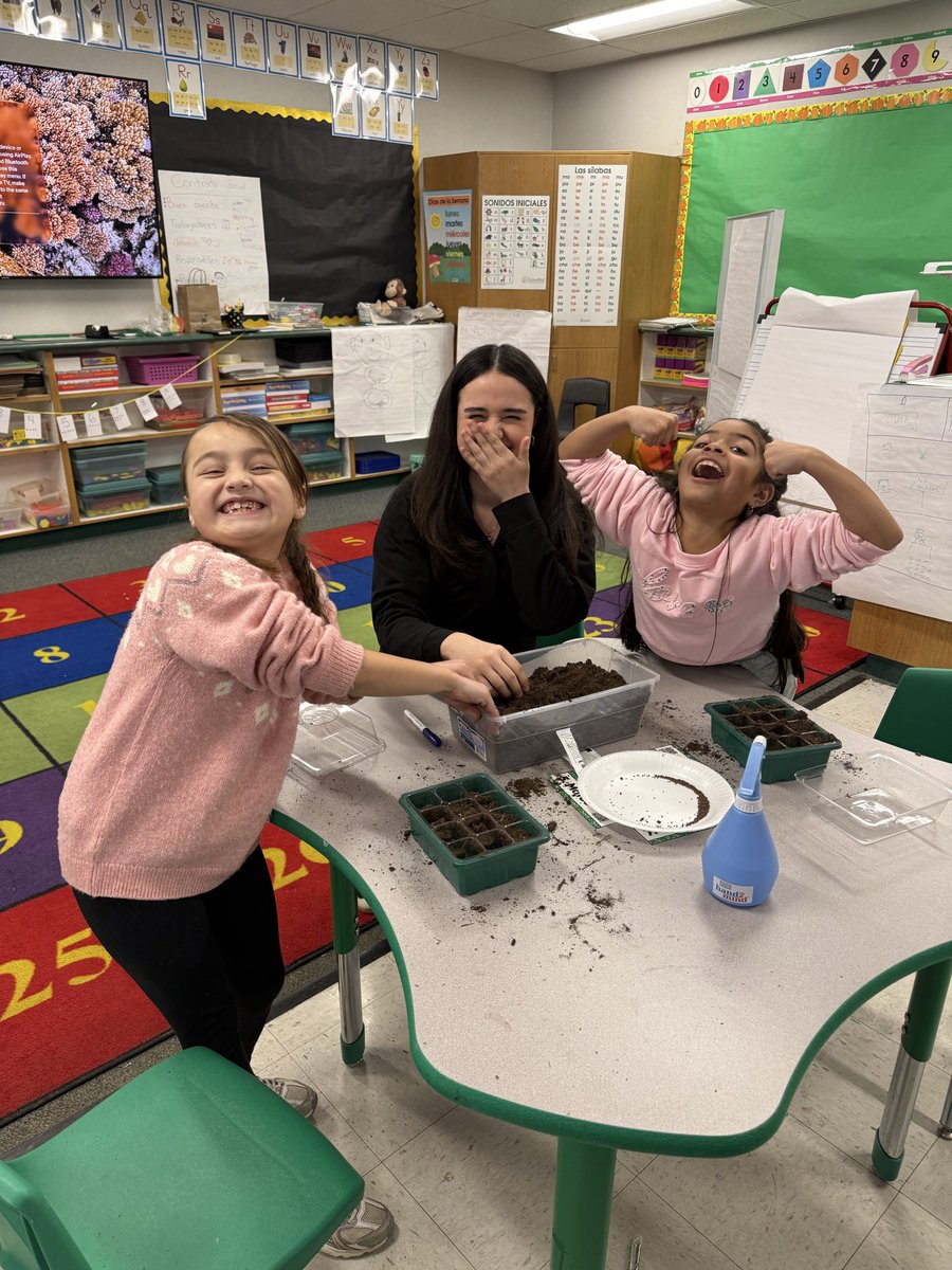 SUMMIT COLLEGIATE HIGH SCHOOL tweet media