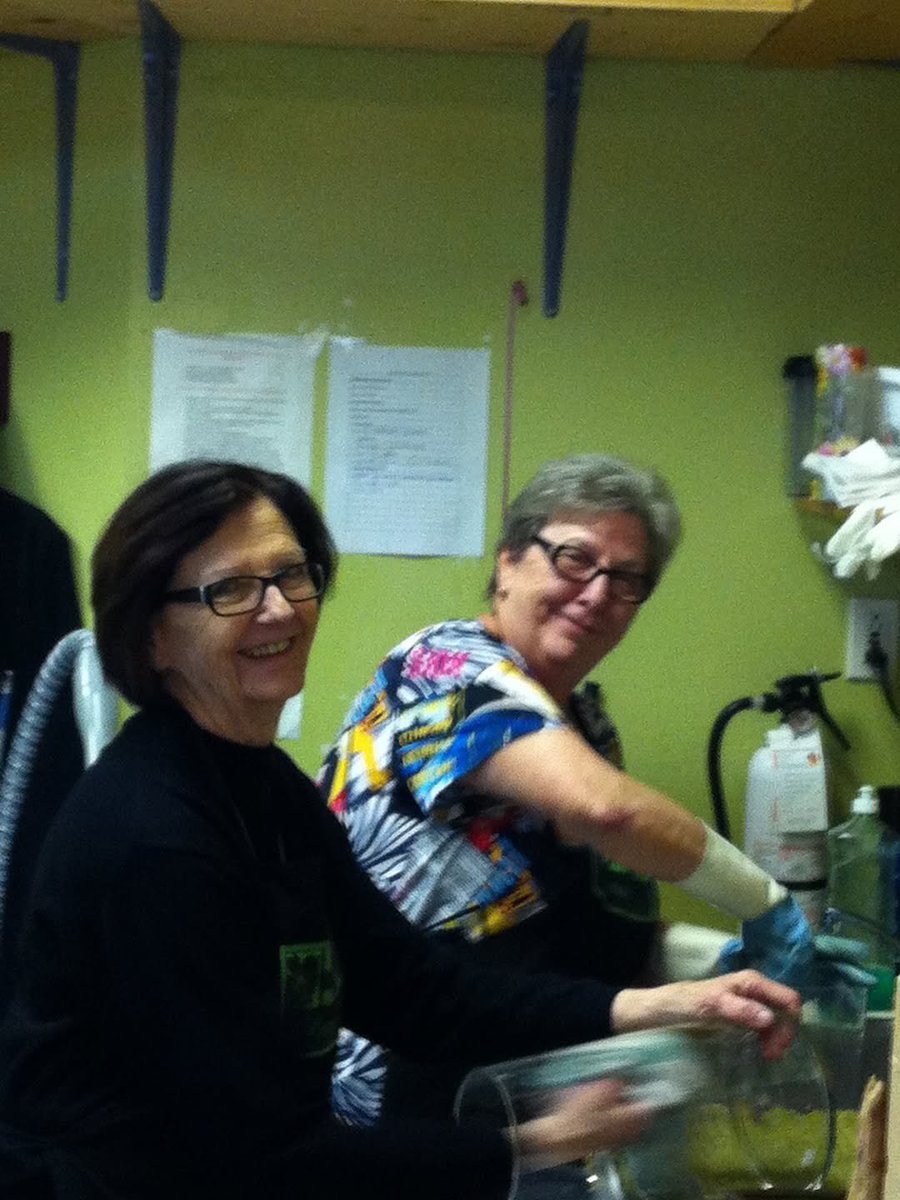 Durdica smith tweet media