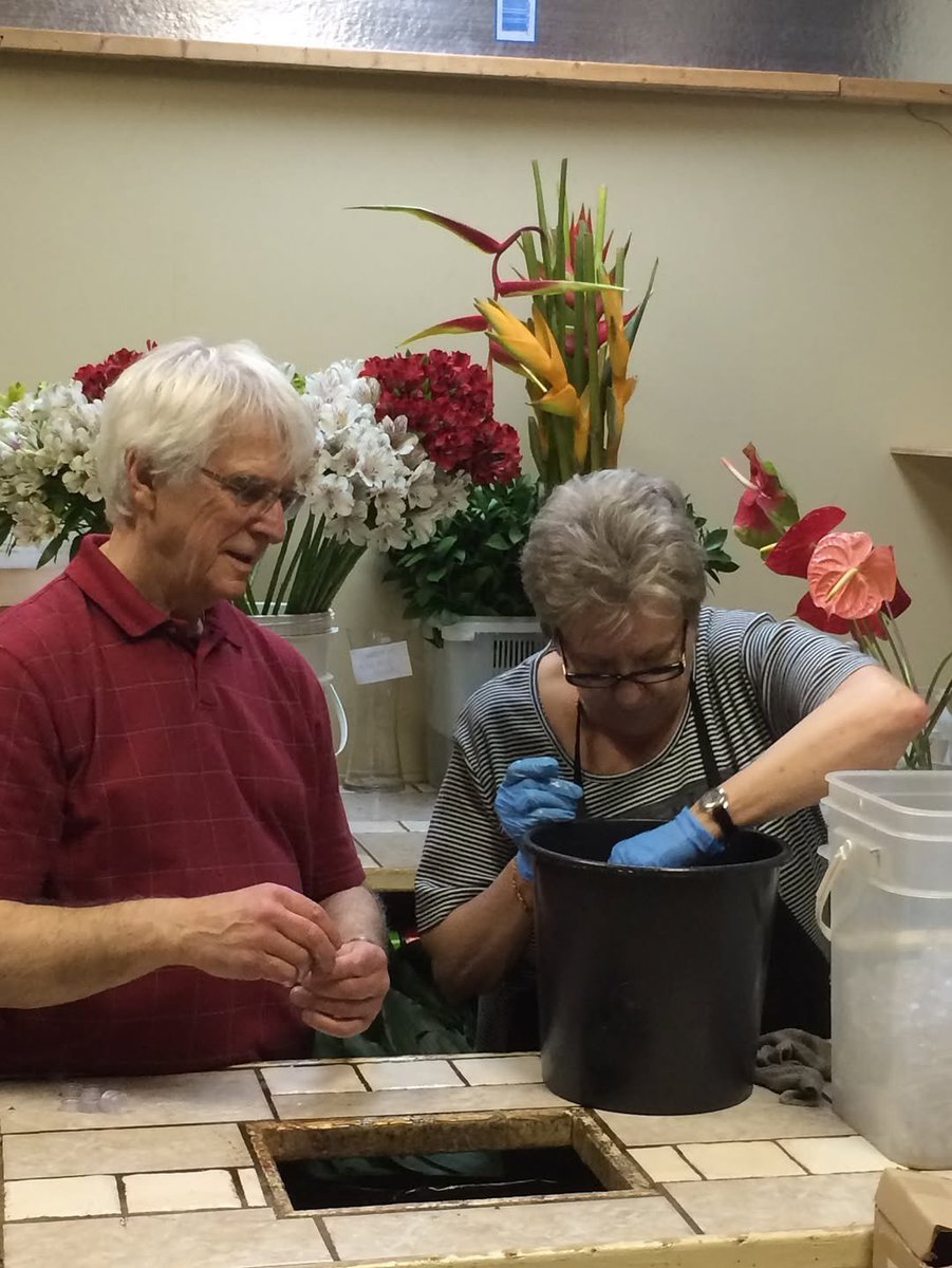 Durdica smith tweet media