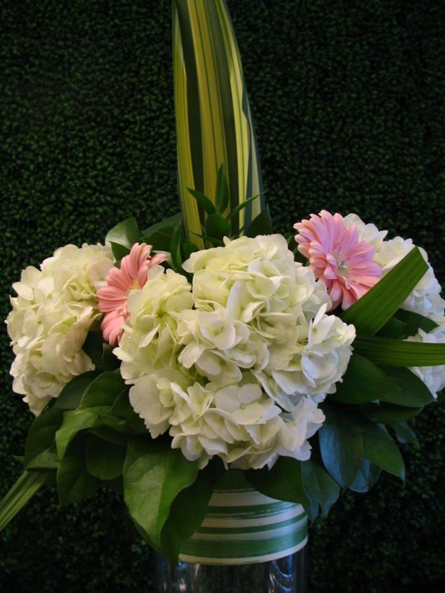 Durdica smith tweet media