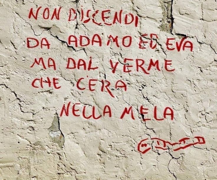 Dino Coppola (@dinocoppola1) on Twitter photo 