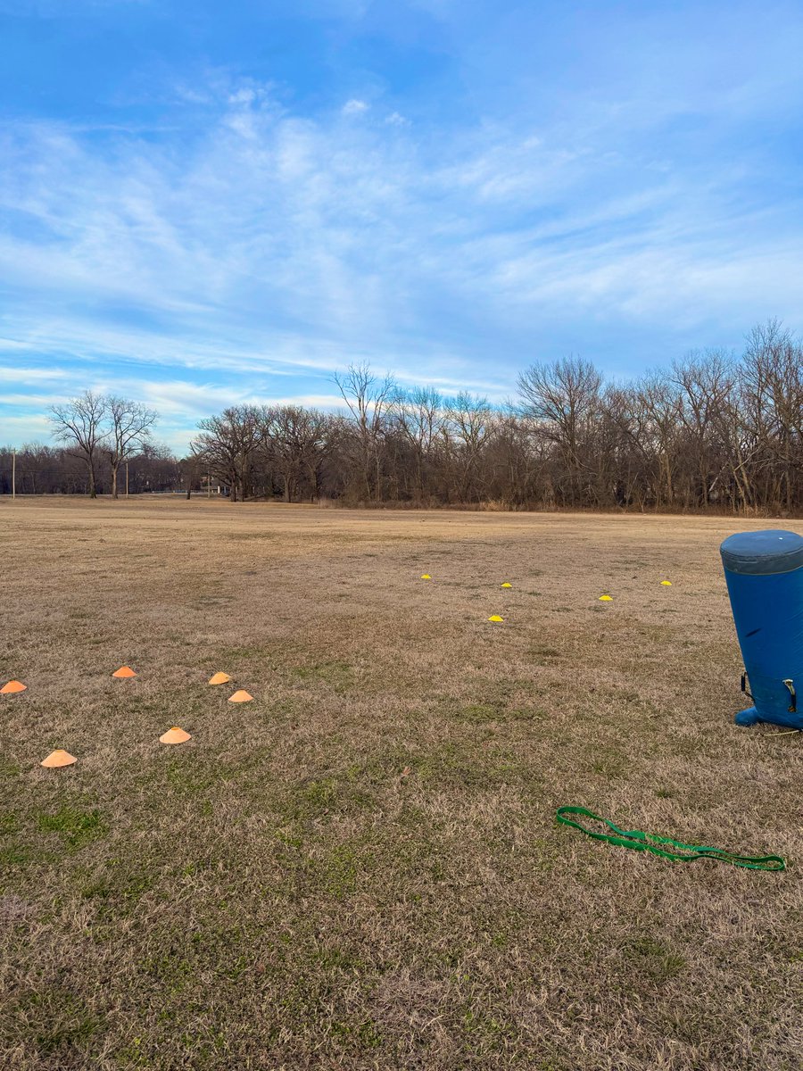 Ayden Elcyzyn tweet media