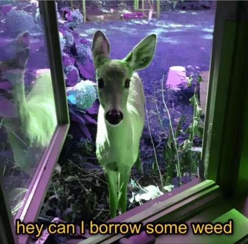 Doe Mulder tweet media