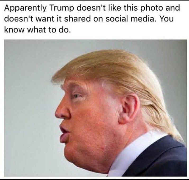 sloshkaput2's tweet image. Belgium/Belarus, Iceland/Greenland, same same - they all belong to King Trump