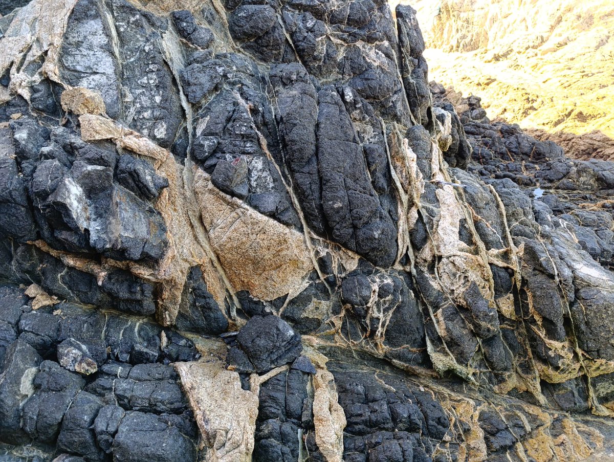Instituto de Geología, UNAM tweet media