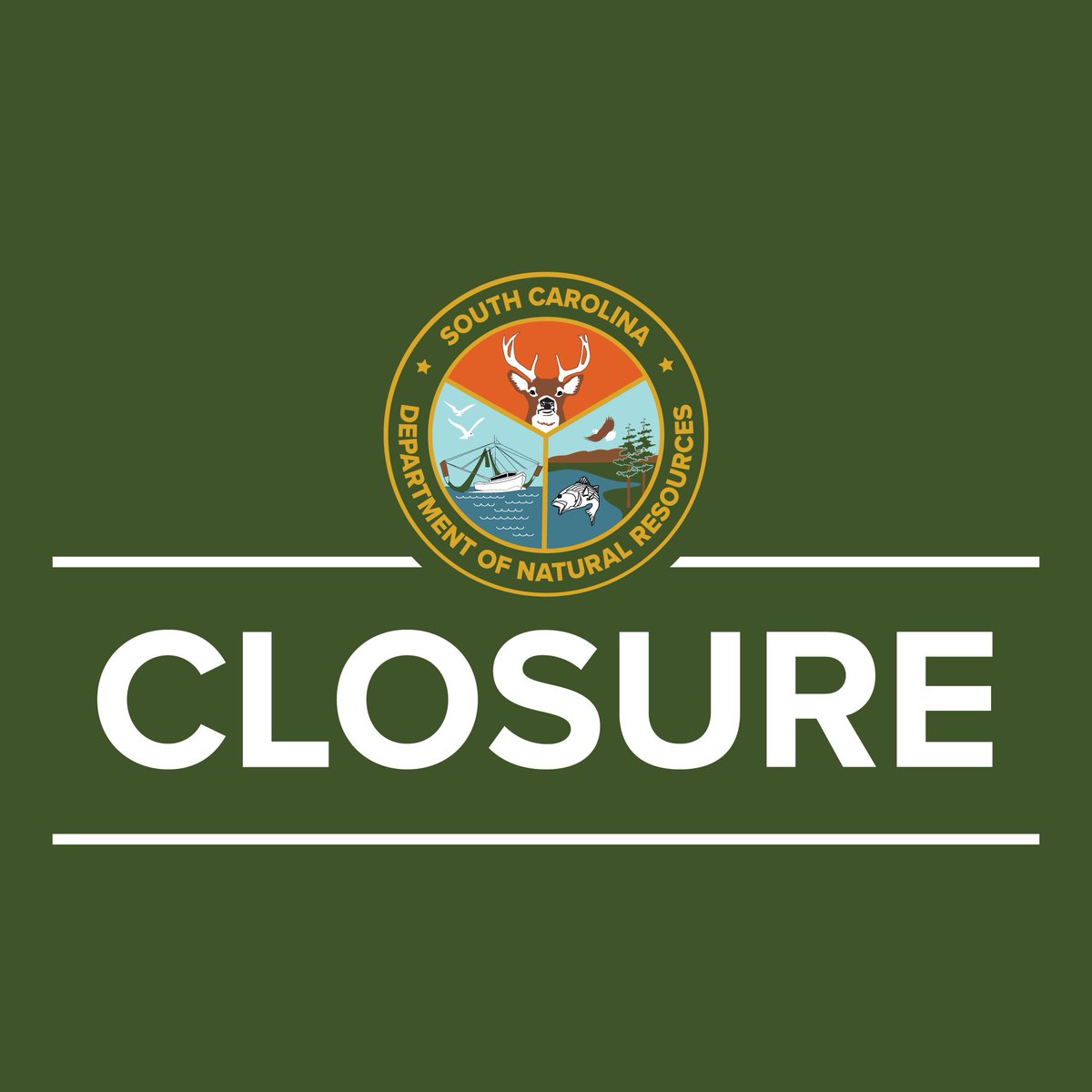 S.C. Dept. of Natural Resources tweet media