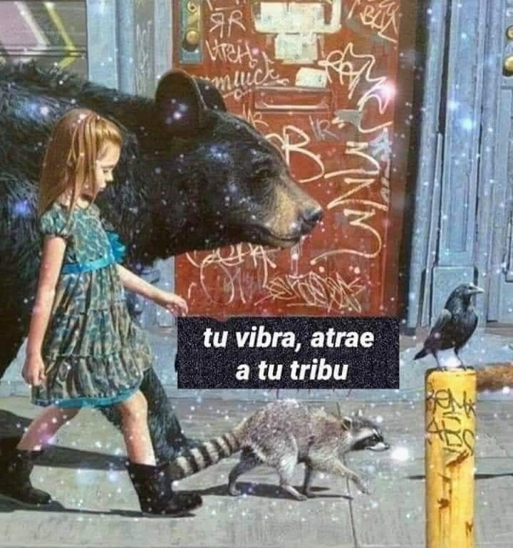 Darkness Girl (@girgrinch9) on Twitter photo 