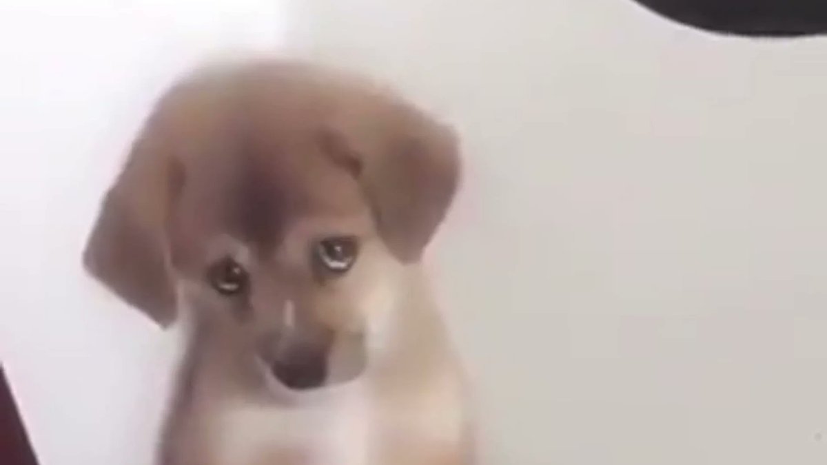 Hugo Sandoval viendo como todos centramos nuestra atención en Richard Sanchez.