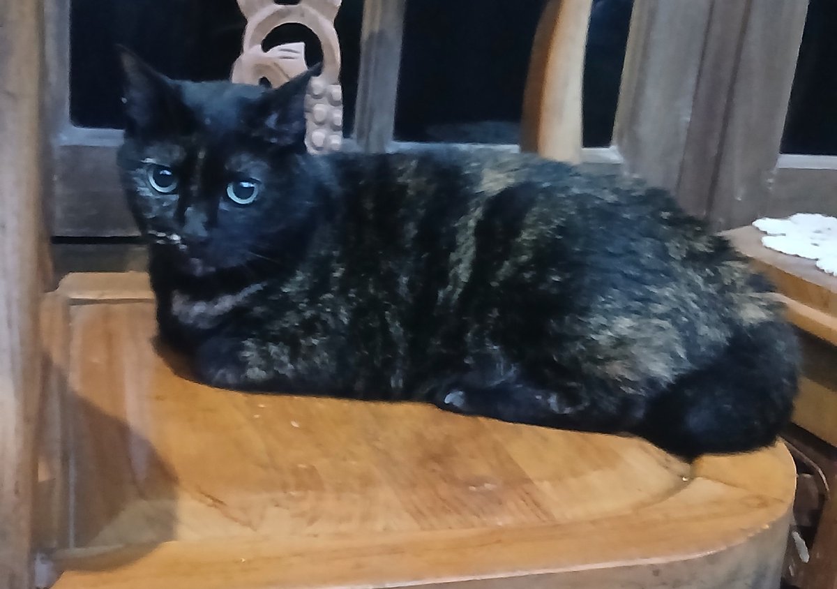 Pagi ini Nanasun bete dan patah hati krn melihat garong fifis mengejar-ngejar cewe lain 😄😄😄

Tp gtw yach,,, sprtinya si bude masi tetap bulol dan masi suka sama si garfis 🥴🥴🥴