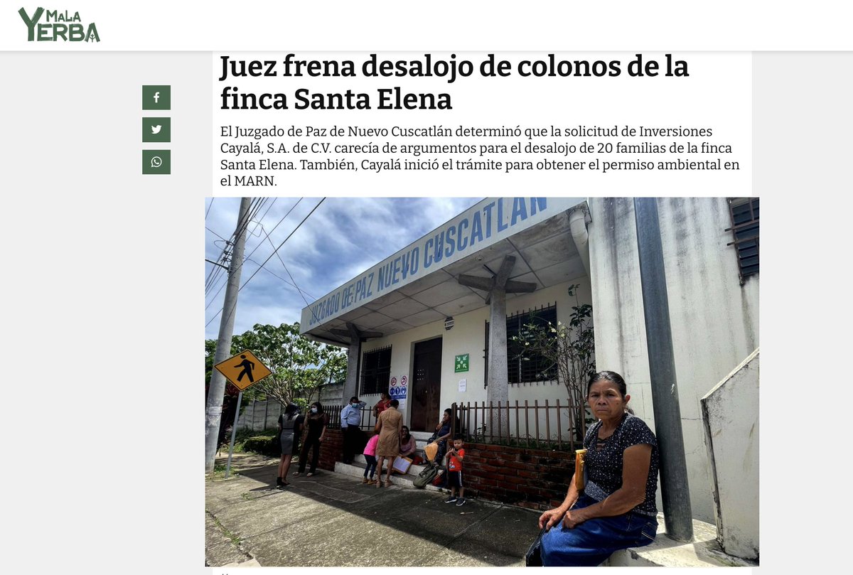 MalaYerba tweet media