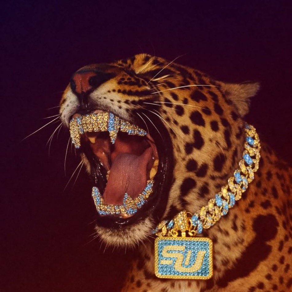 <a href="/Recruit4SU/">SU Recruiting Spotlight</a> <a href="/rogergradney15/">roger gradney</a> <a href="/GeauxJags/">Southern University Football</a> Welcome!
Geaux Jags