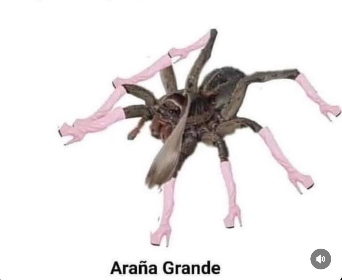 cornulda's tweet image. - por que nadie me habla?
- lo que comparto: