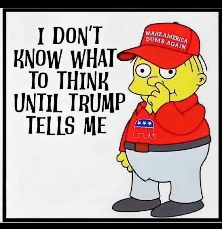 jkvesely's tweet photo. @JoshVesely @MAGAVoice @WesternLensman Speaking of uneducated fools. https://t.co/RpamM6Wi7V