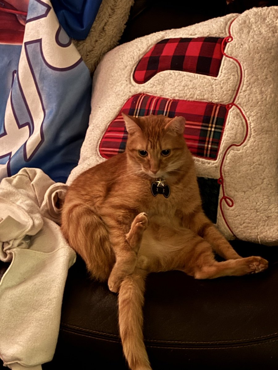 Daisy aka Skai 🩵 tweet media