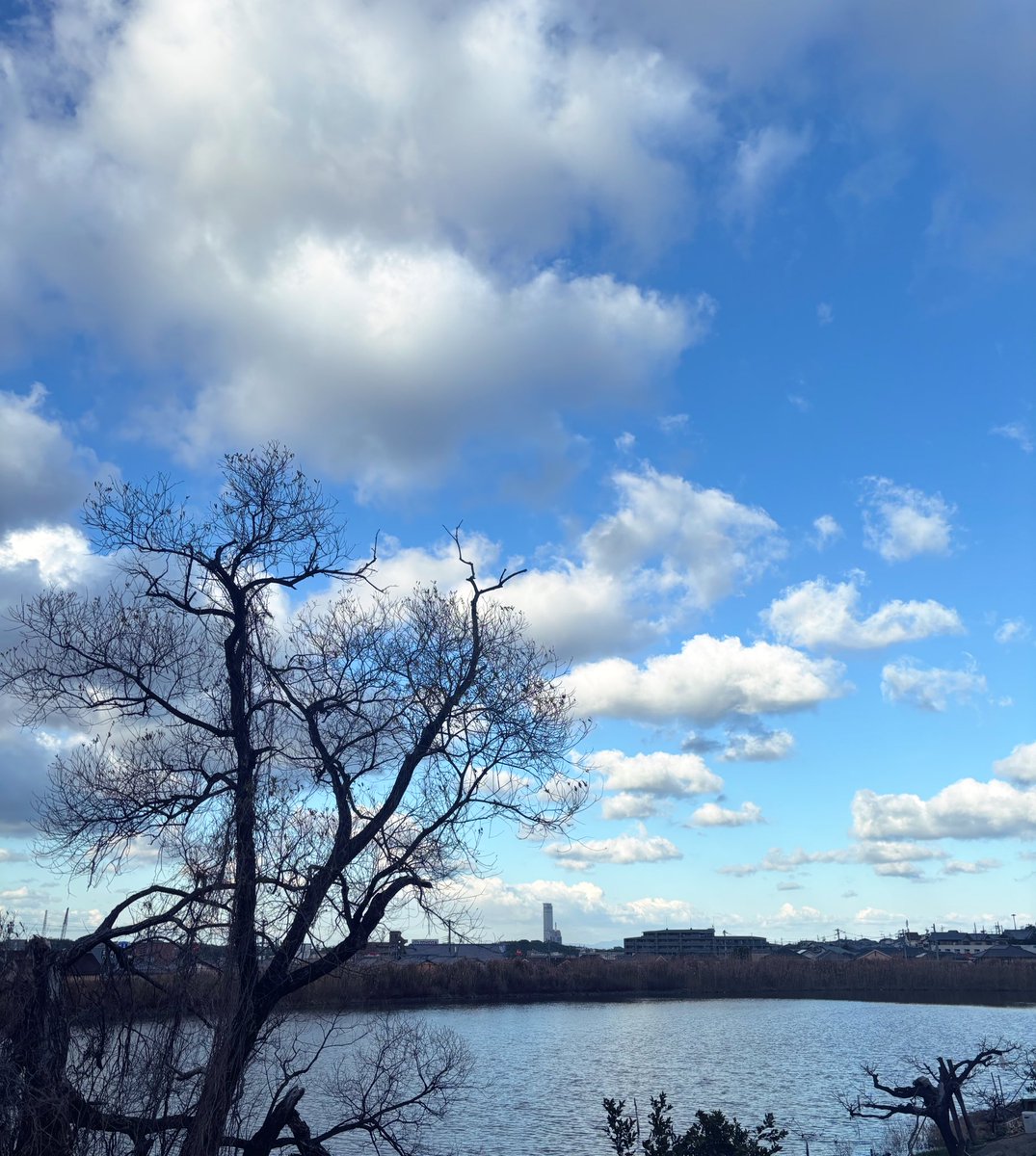 おはよ
この景色もそろそろカウントダウン