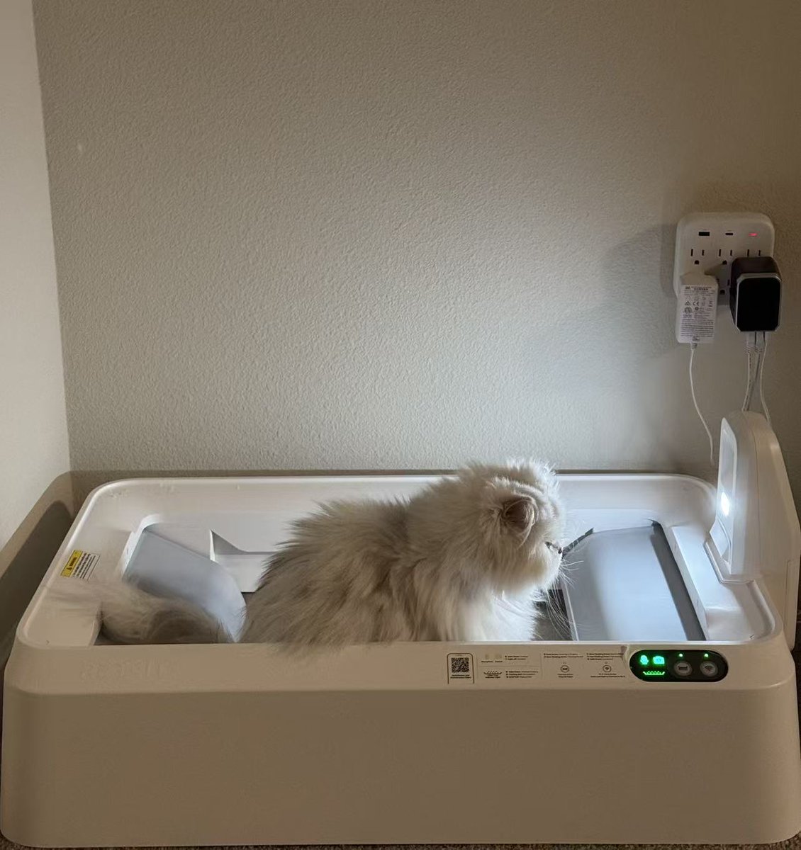 The AI hardware that actually changed my life is a litter box.

I have two cats and travel a lot. In the past, I either let strangers into my apartment to scoop, or come home and find out that my cats have filled the litter box and my bed sheet.

Neither option was great.

So I