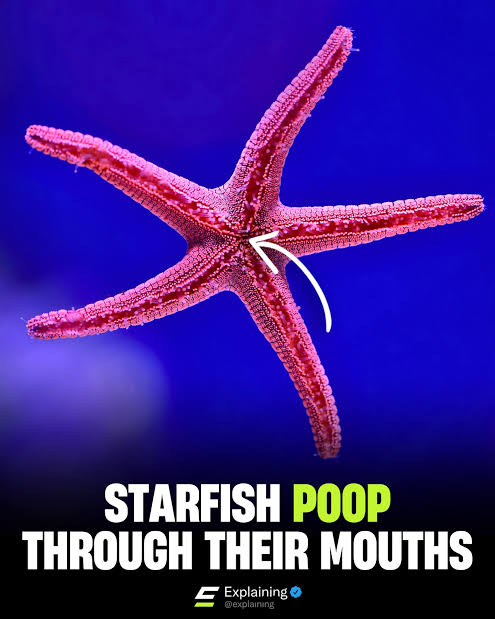 I know some people that do also