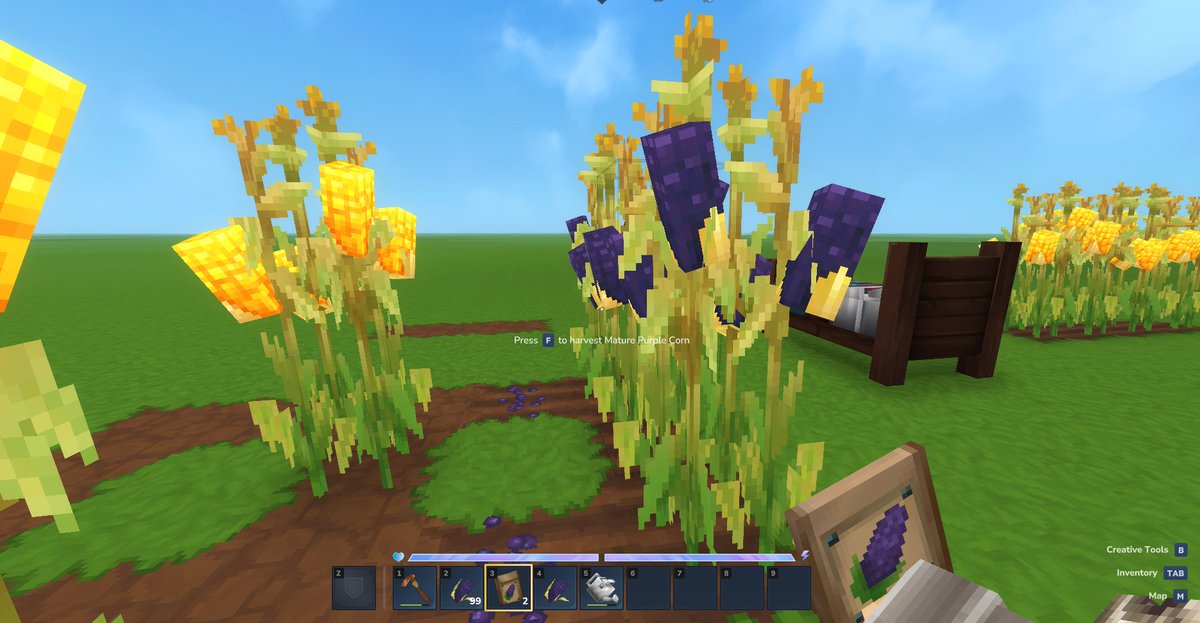 FrowsyFrog | Bottle Cracks 🍾💥 tweet media