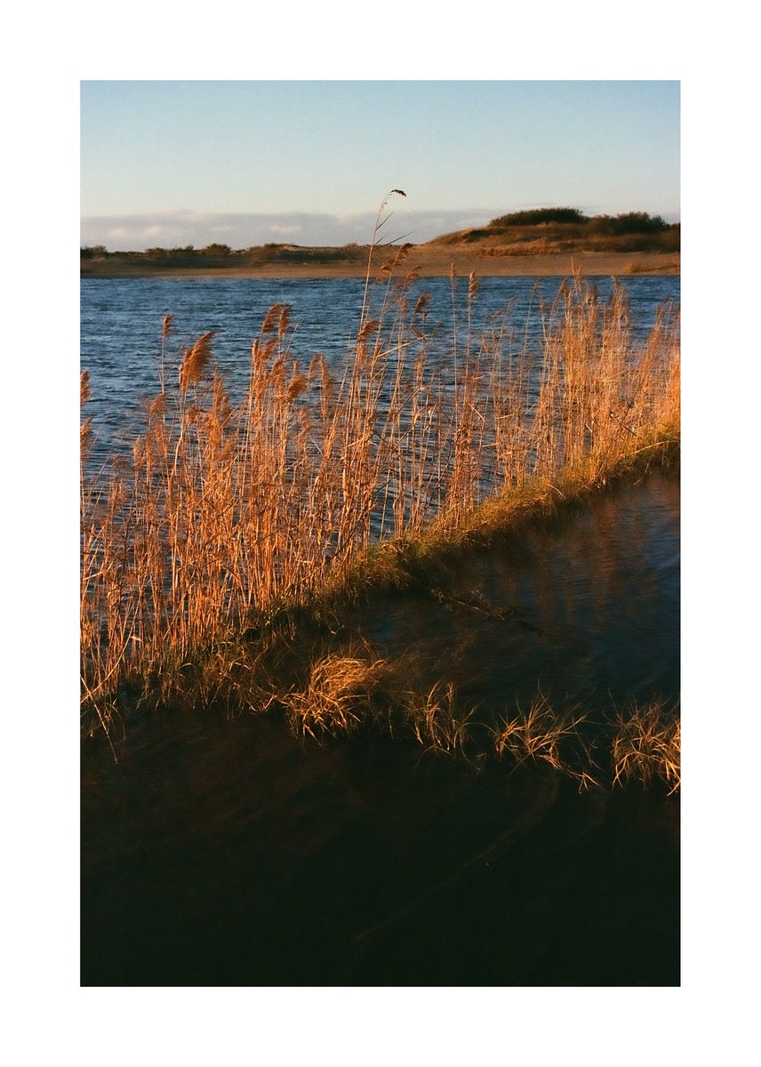 FORPRO_F's tweet image. Nikon F2
Ai NIKKOR 35mm f2
Kodak ULTRAMAX 400