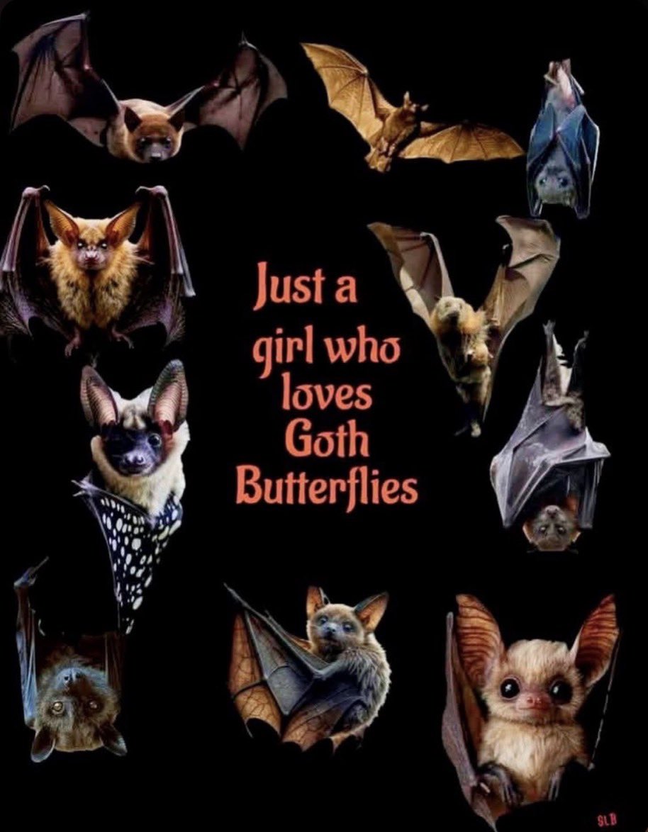 𝐭𝐡𝐞 𝐯𝐚𝐦𝐩𝐢𝐫𝐚 𝐬𝐡𝐨𝐰 🪦 (@horrorsthetics) on Twitter photo 