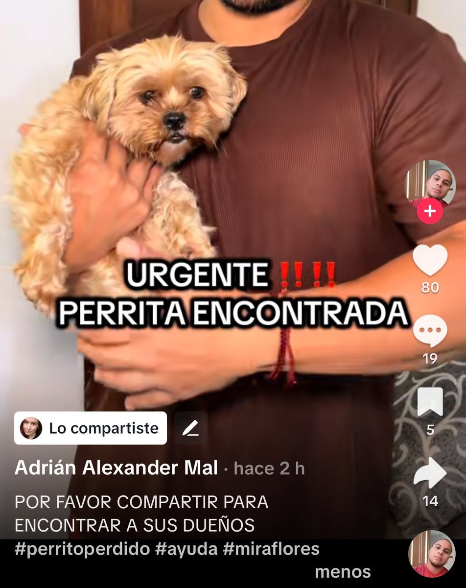 Ayudemos a encontrar a su familia.
Perrita encontrada a la altura de la clínica Delgado en Miraflores - Lima.

Si la reconocen, contactar a la cuenta de TikTok Chorodegomitas