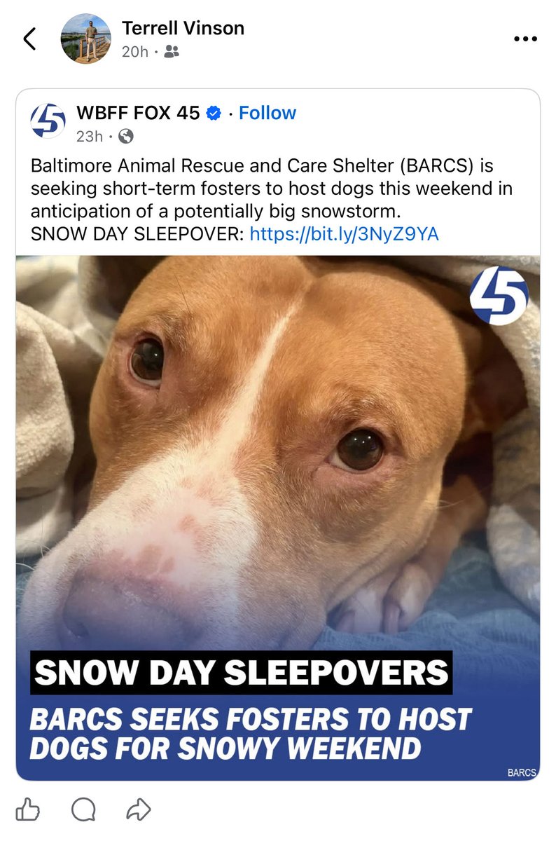 The Massachusetts Collective tweet media