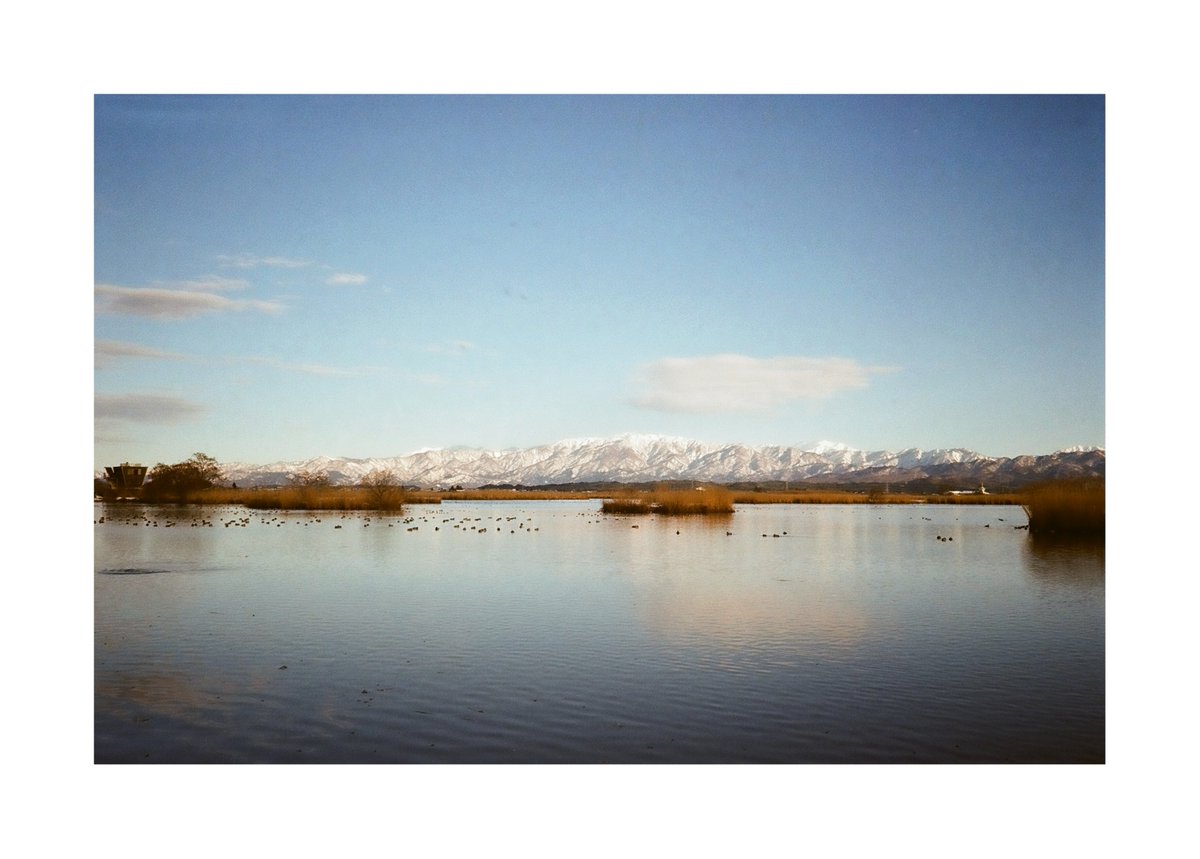 FORPRO_F's tweet image. Nikon L35 AD3
Nikon LENS 35mm f2.8
Kodak GOLD 200