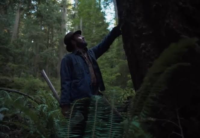 Into The Forest Dark tweet media