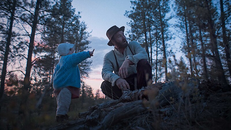 Into The Forest Dark tweet media