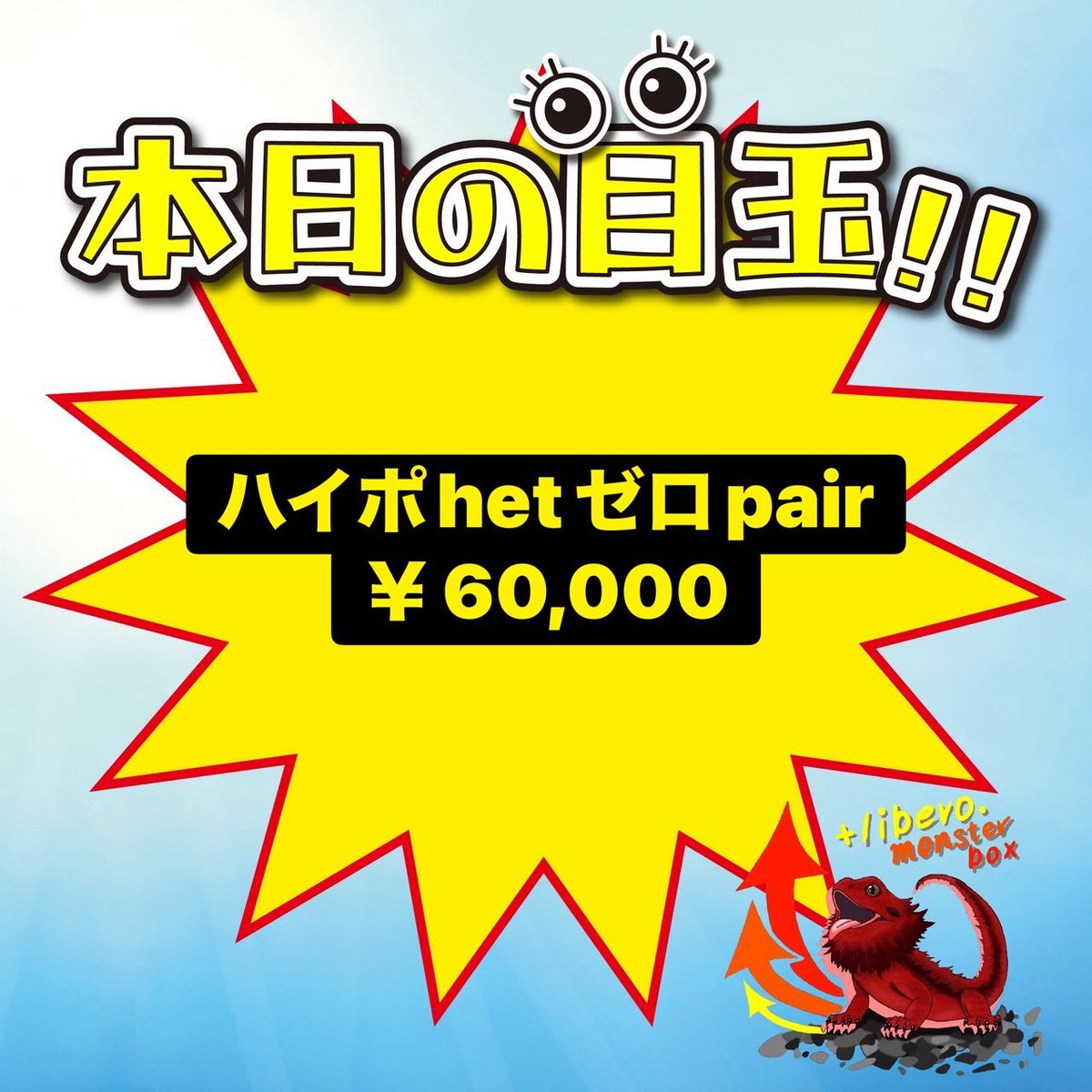 本日限定🉐 【💛ハイポhetゼロpair🤍】 絶賛‼️今現在、さかり真っ盛り