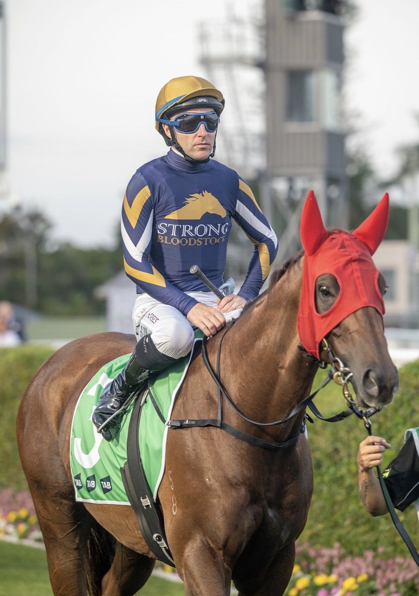 Strong Bloodstock tweet media