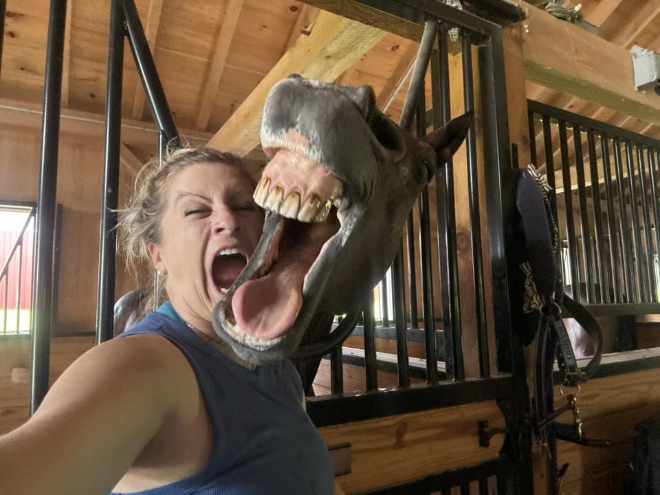 Horse Nation tweet media