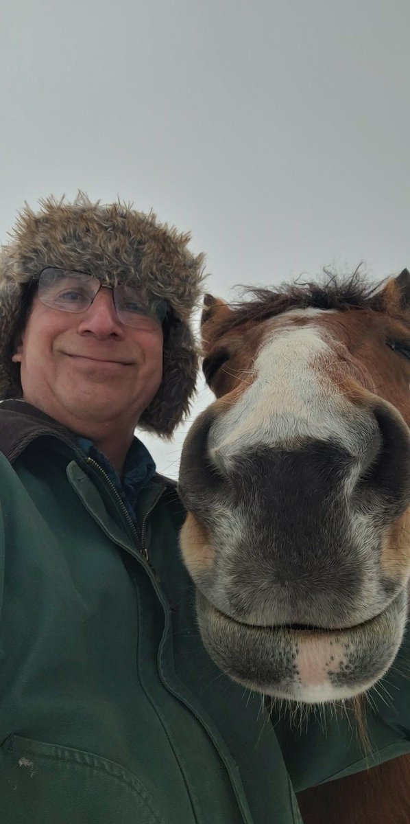 Horse Nation tweet media