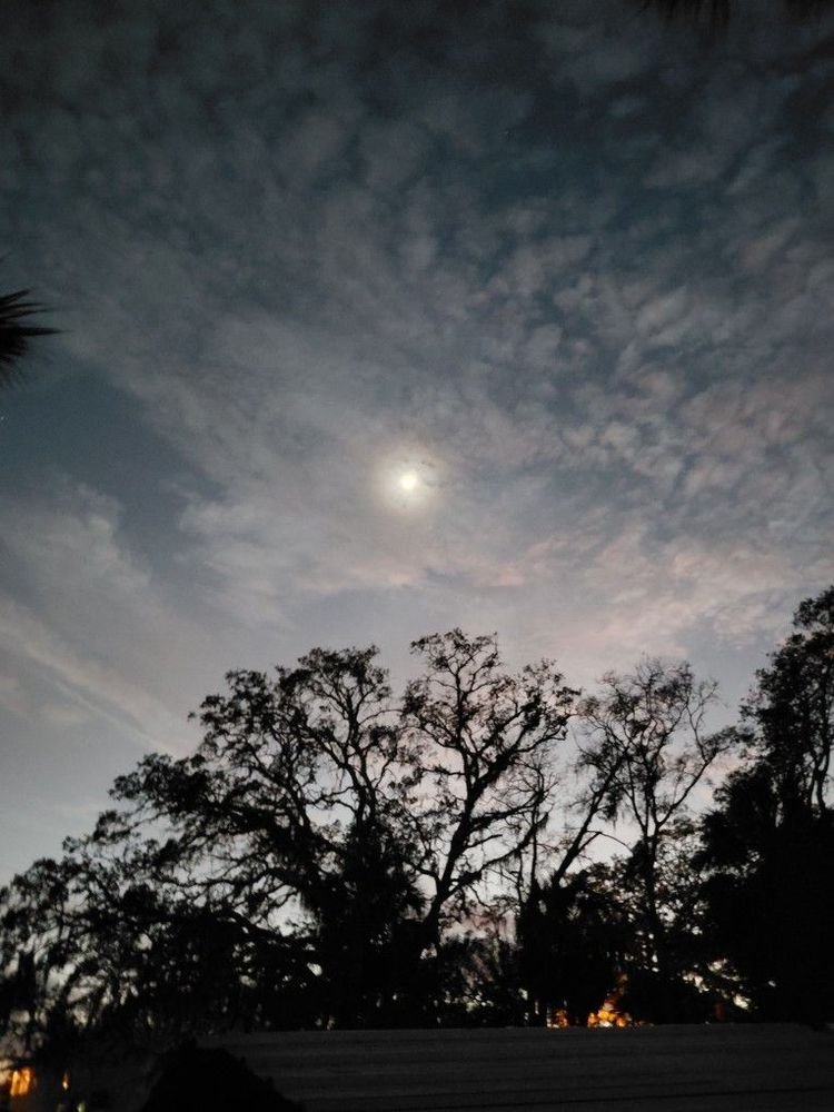 NeedlessToSay's tweet image. 