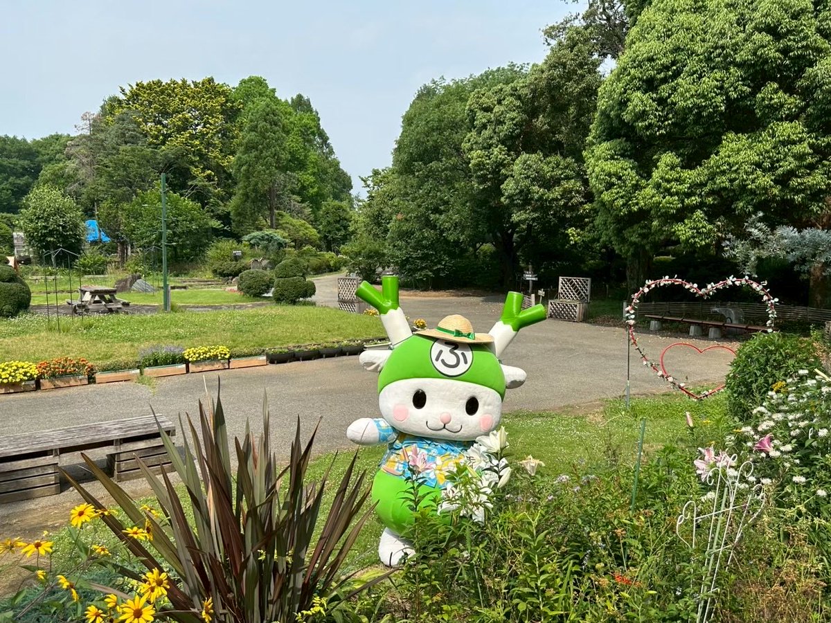 おはろぉ🎵 今日もさむゆいね❄️ 夏のあつさを思い出してみたら、気分