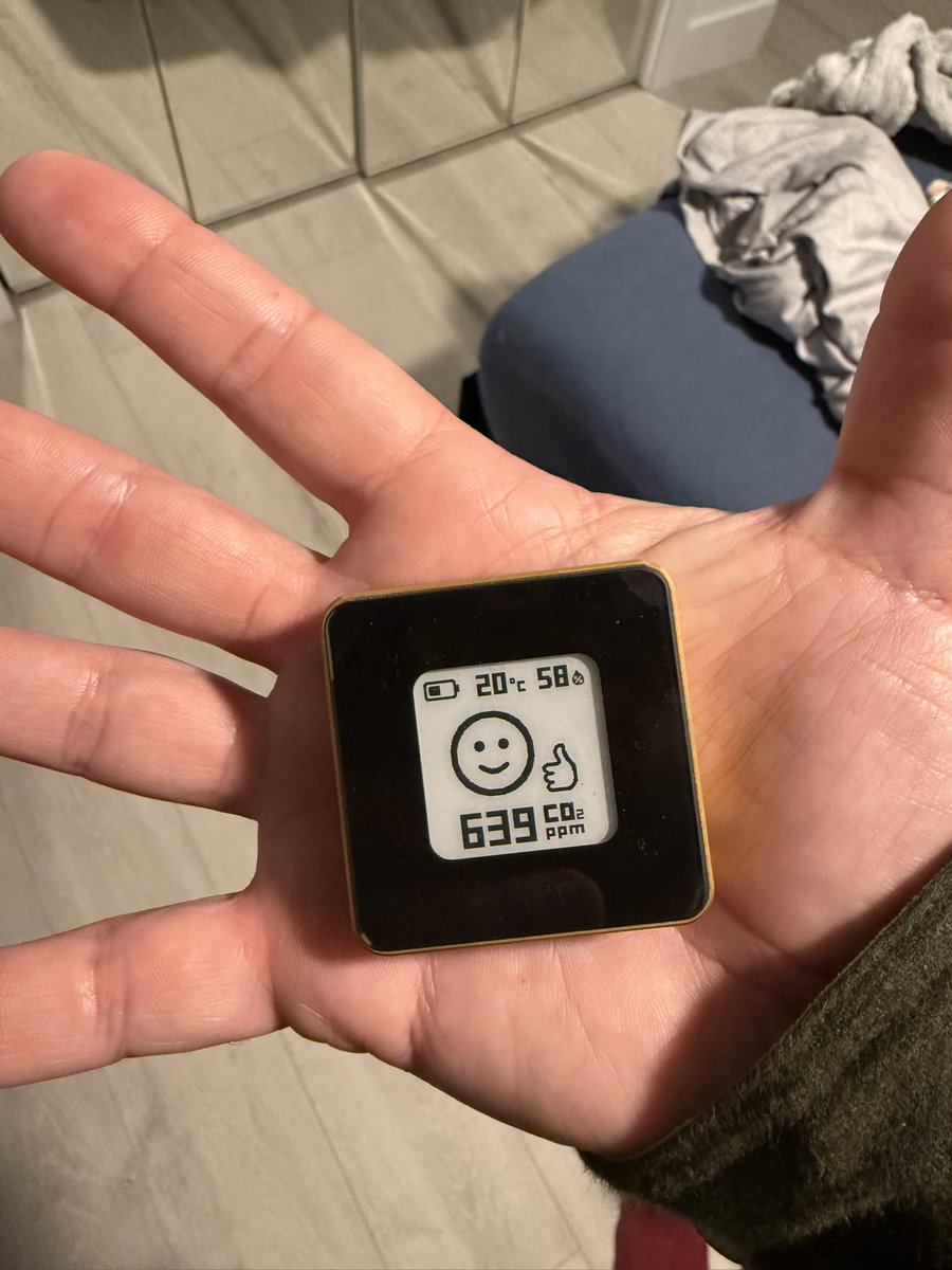 Thor Torrens tweet media