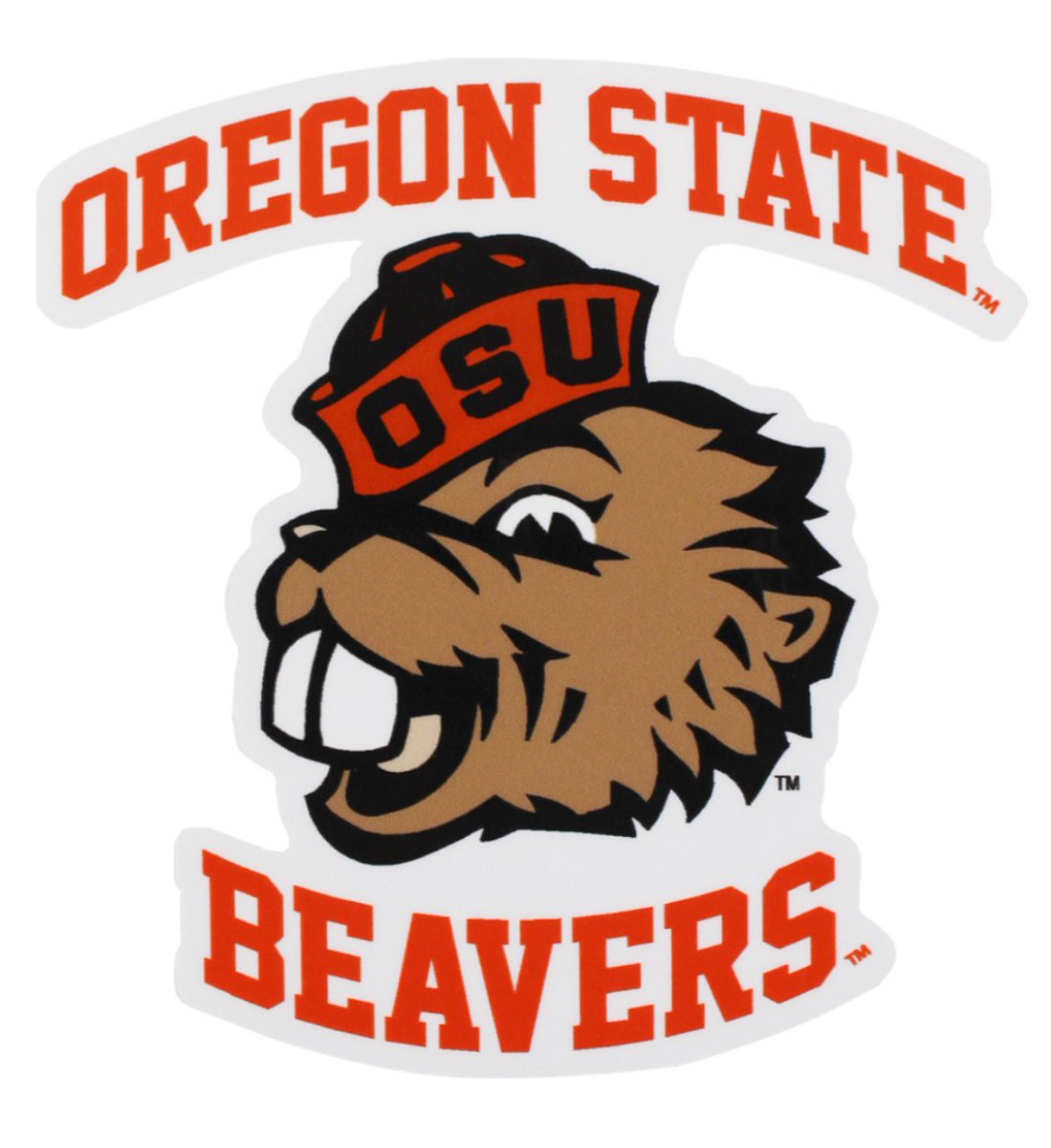 Max Fotofili Tuiileila tweet media