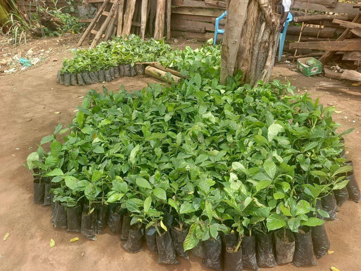 SIMBULA VENTURES tweet media