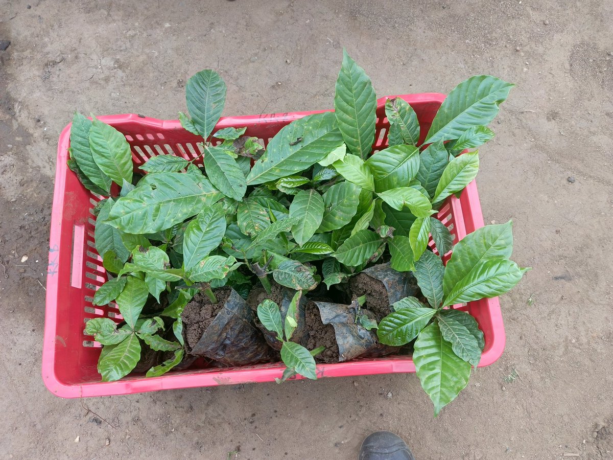 SIMBULA VENTURES tweet media